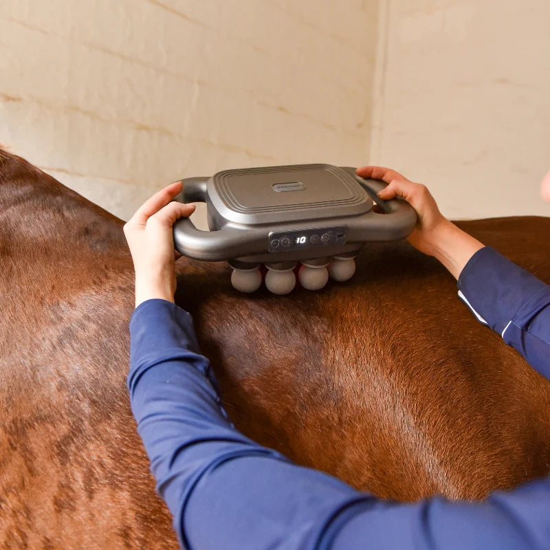 8 Heads Horse Massage Gun