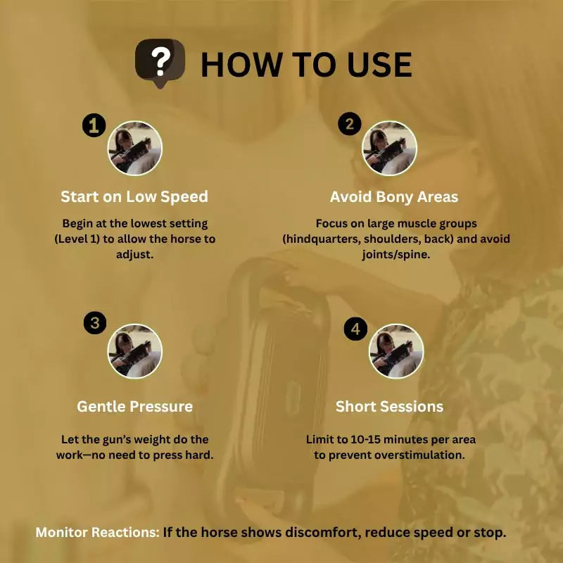 8 Heads Horse Massage Gun