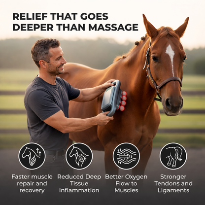 8 Heads Horse Massage Gun